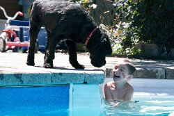 30 10-Aug-13 12-22-59 D300 004